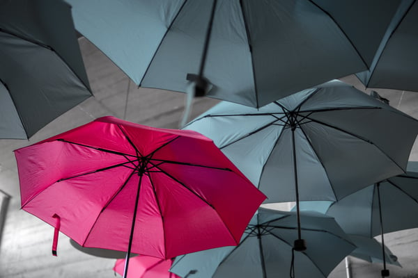 Operational Risk: The Umbrella Function