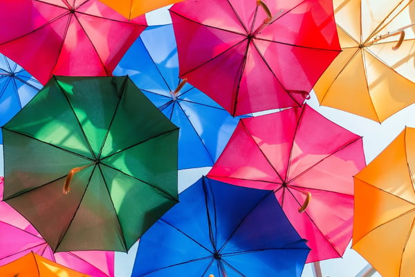The Umbrella Function: Role and scope of Op Risk